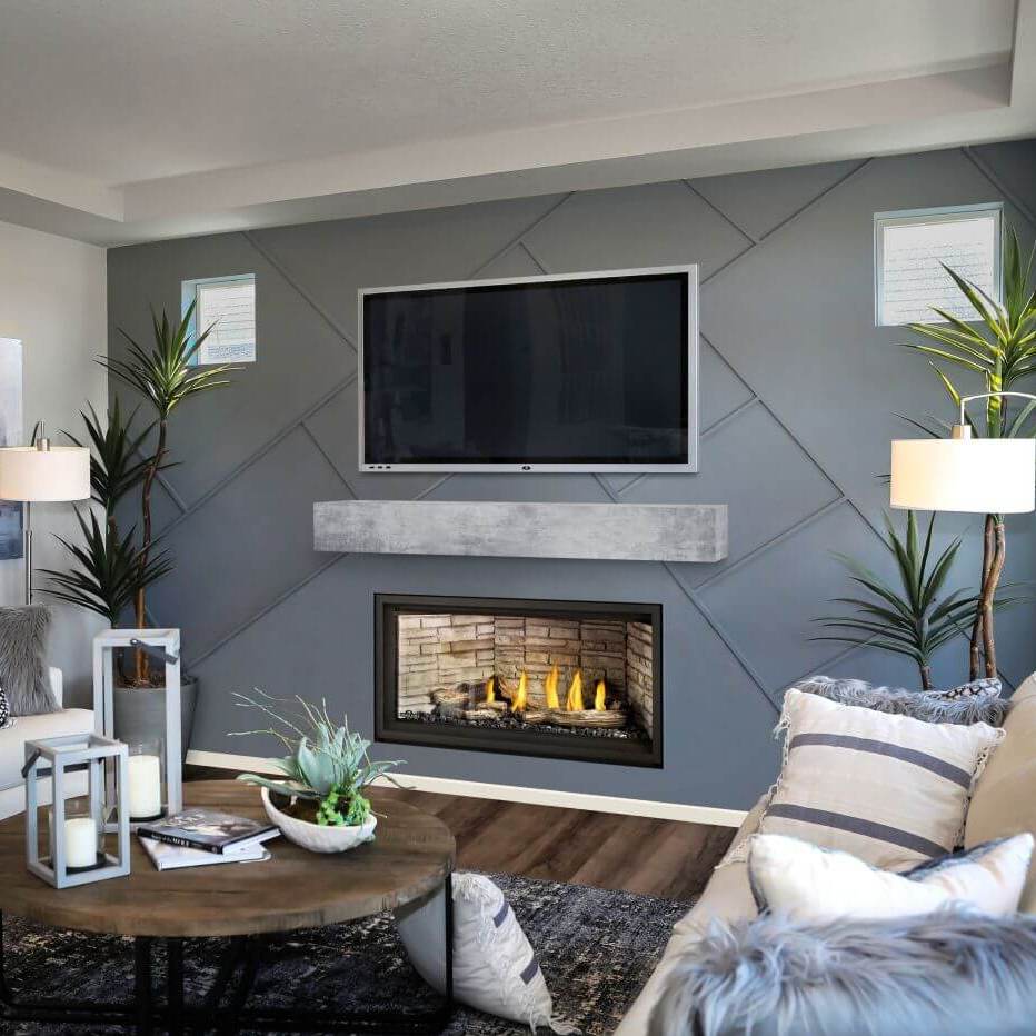 EMP サンセベリア Black castle / SA421 Napoleon Ascent Linear Premium Direct Vent Gas Fireplace - 42