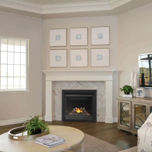 Napoleon Ascent X Direct Vent Gas Fireplace - 36 Napoleon Ascent X Direct Vent Gas Fireplace - 36