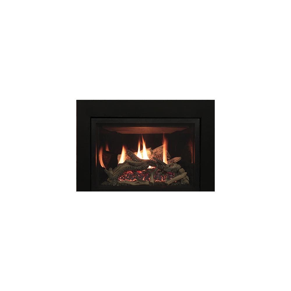 Empire 30" Rushmore Direct Vent Gas Insert - Medium