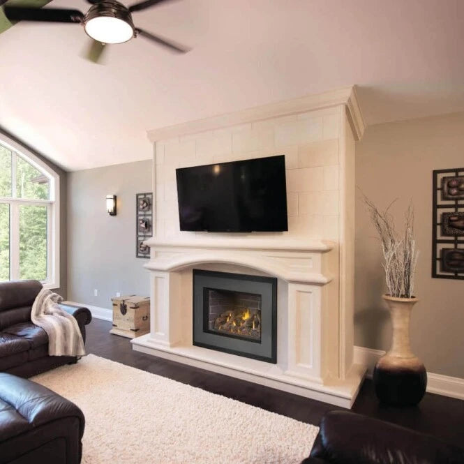 Napoleon Oakville X4 Direct Vent Gas Fireplace Insert