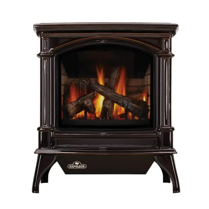 Napoleon Knightsbridge Direct Vent Gas Stove