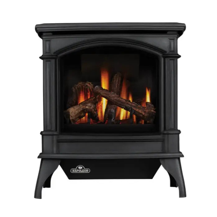 Napoleon Knightsbridge Metallic Black Direct Vent Gas Stove