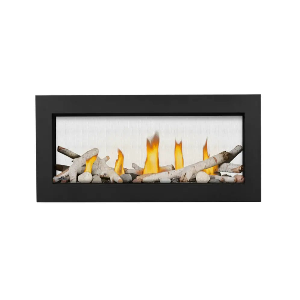 Napoleon Vector See-Through 38" Direct Vent Gas Fireplace