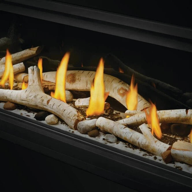 Napoleon Vector 50" Direct Vent Gas Fireplace