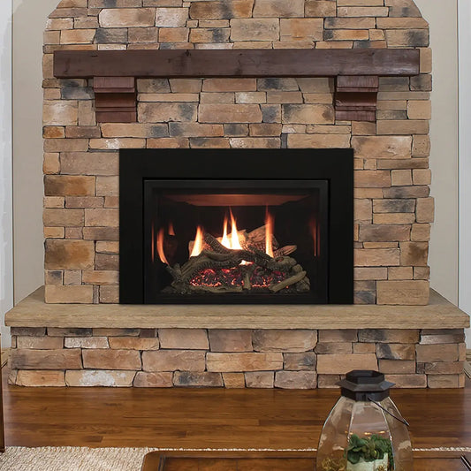 Empire 30" Rushmore Direct Vent Gas Insert - Medium