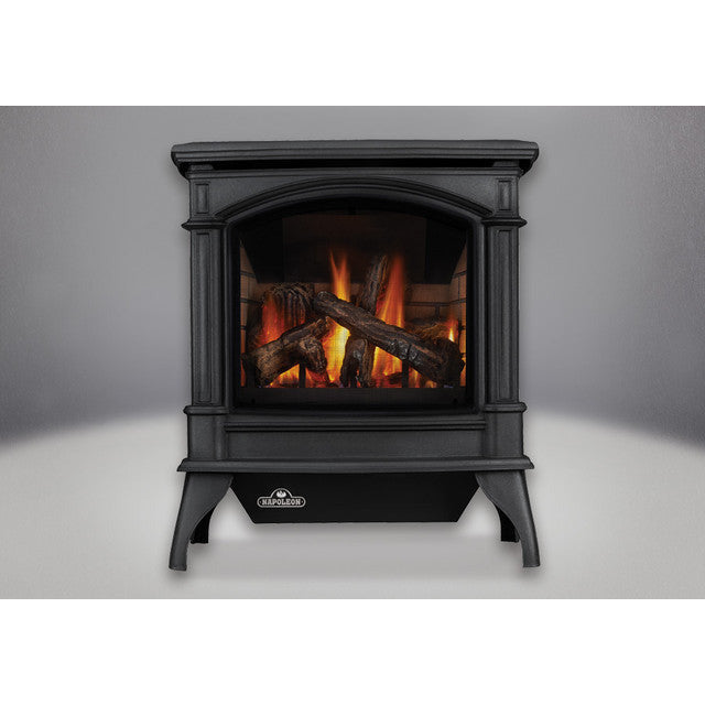 Napoleon Knightsbridge Direct Vent Gas Stove