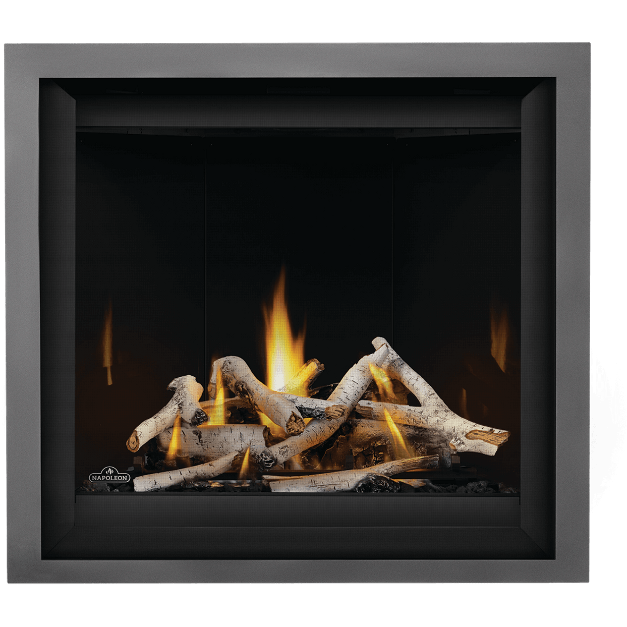 Napoleon Altitude X Direct Vent Gas Fireplace - 36"