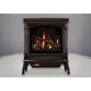 Napoleon Knightsbridge Direct Vent Gas Stove