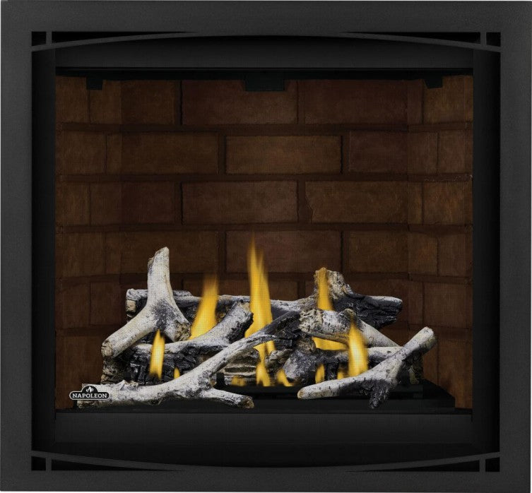 Napoleon Altitude X Direct Vent Gas Fireplace - 36"