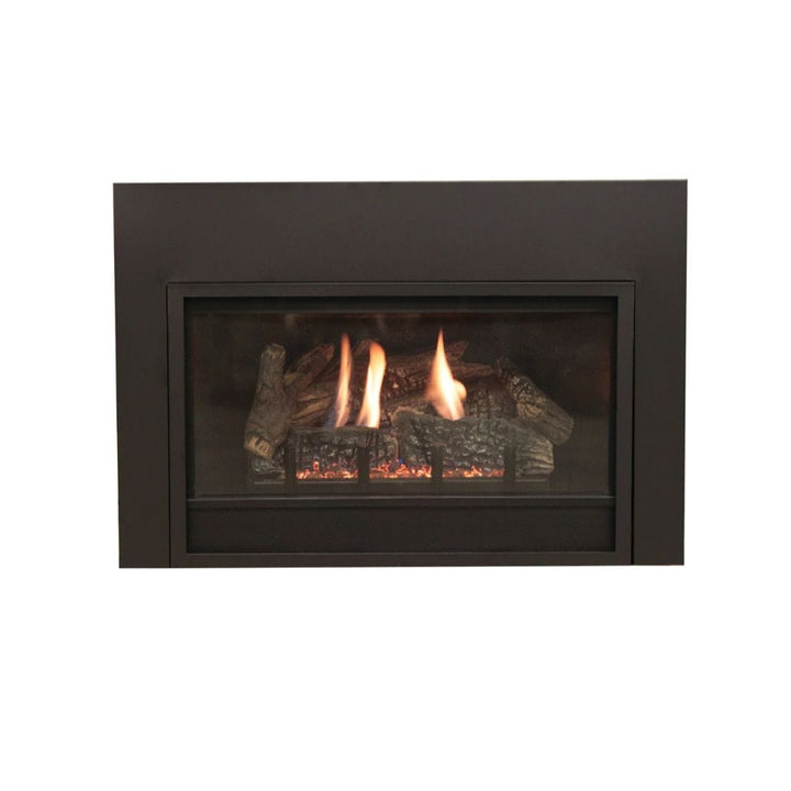 Propane Fireplace Inserts - Efficient Heating & Cozy Ambiance – The ...