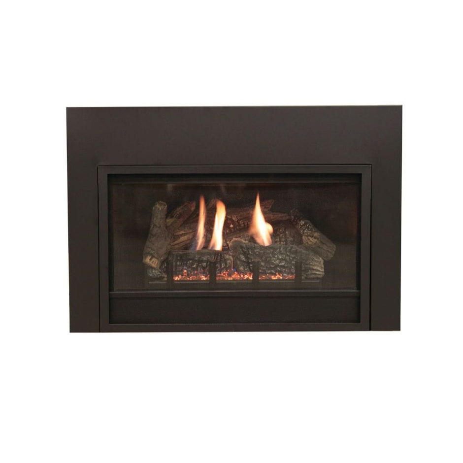 Propane Fireplace Inserts - Efficient Heating & Cozy Ambiance – The ...