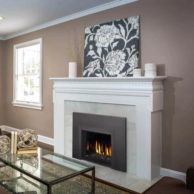 Napoleon Oakville 3 Glass Direct Vent Gas Fireplace Insert