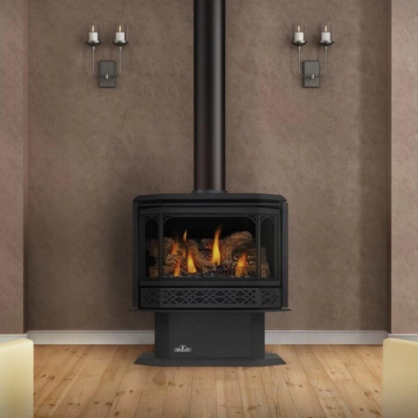 Napoleon Havelock Direct Vent Gas Stove – The Great Fire Company