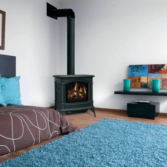 Napoleon Knightsbridge Metallic Black Direct Vent Gas Stove