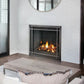 Napoleon Altitude X Direct Vent Gas Fireplace - 42