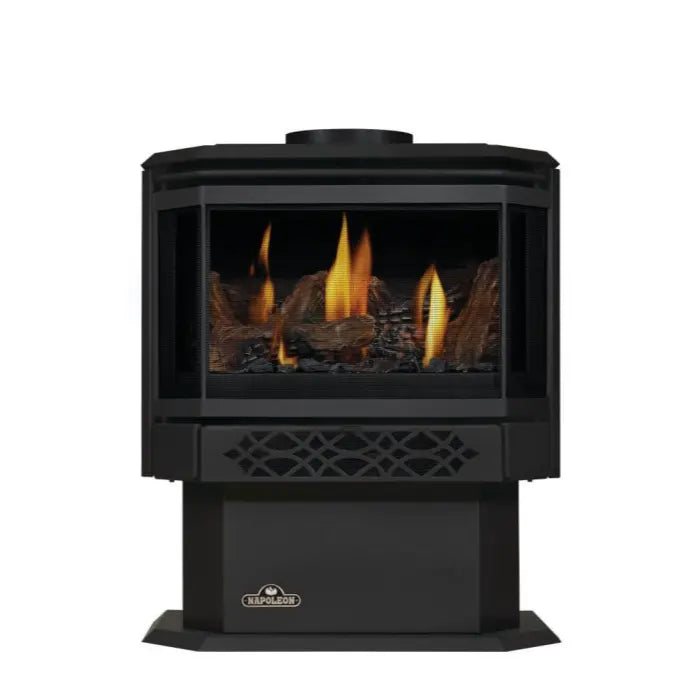 Napoleon Haliburton Direct Vent Gas Stove - Millivolt Ignition