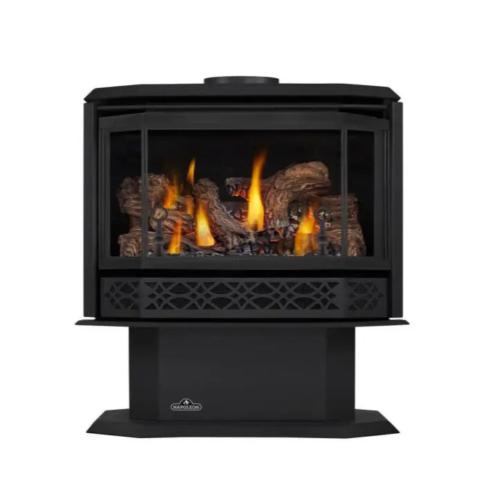 Napoleon Havelock Direct Vent Gas Stove