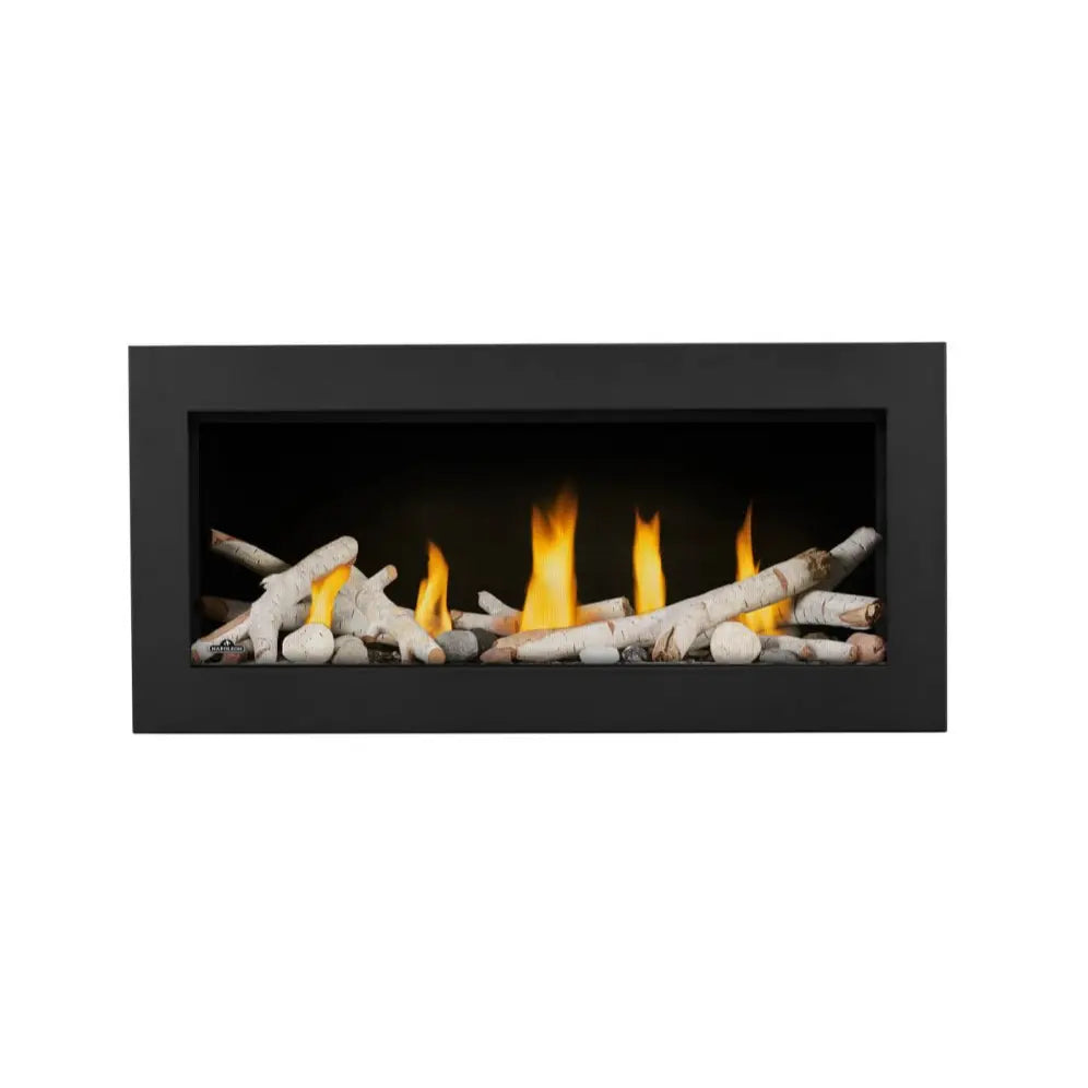 Napoleon Vector 38" Direct Vent Gas Fireplace