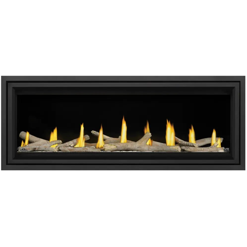 Napoleon Vector 50" Direct Vent Gas Fireplace