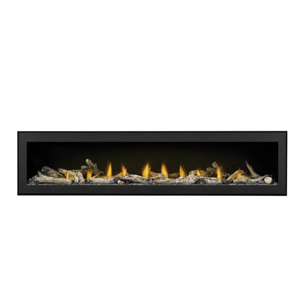 Napoleon Vector 74" Direct Vent Gas Fireplace