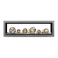 Napoleon Vector See-Through 62" Direct Vent Gas Fireplace