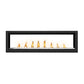 Napoleon Vector See-Through 62" Direct Vent Gas Fireplace