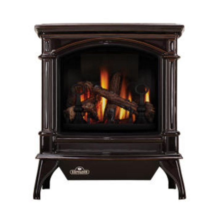 Napoleon Knightsbridge Direct Vent Cast Iron Gas Stove