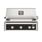American Outdoor Grill 30" L-Series Portable Gas Grill