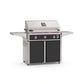 American Outdoor Grill 36" L-Series Portable Gas Grill