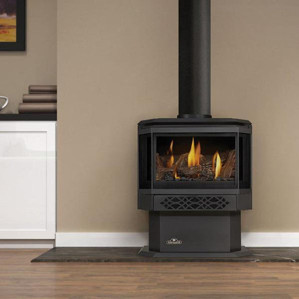 Napoleon Haliburton Direct Vent Gas Stove – The Great Fire Company