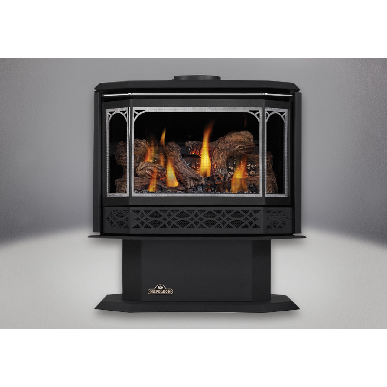 Napoleon Havelock Direct Vent Gas Stove