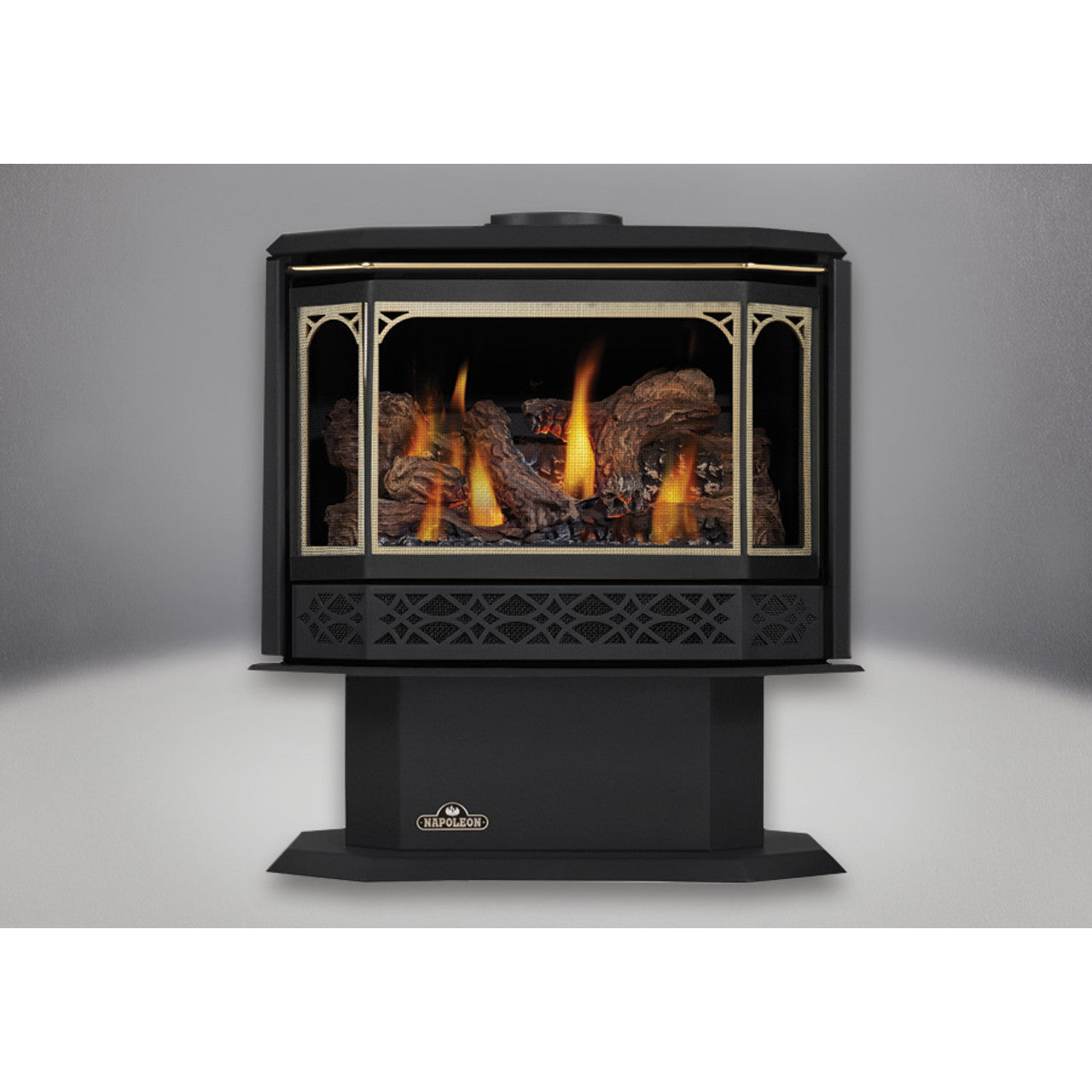 Napoleon Havelock Direct Vent Gas Stove