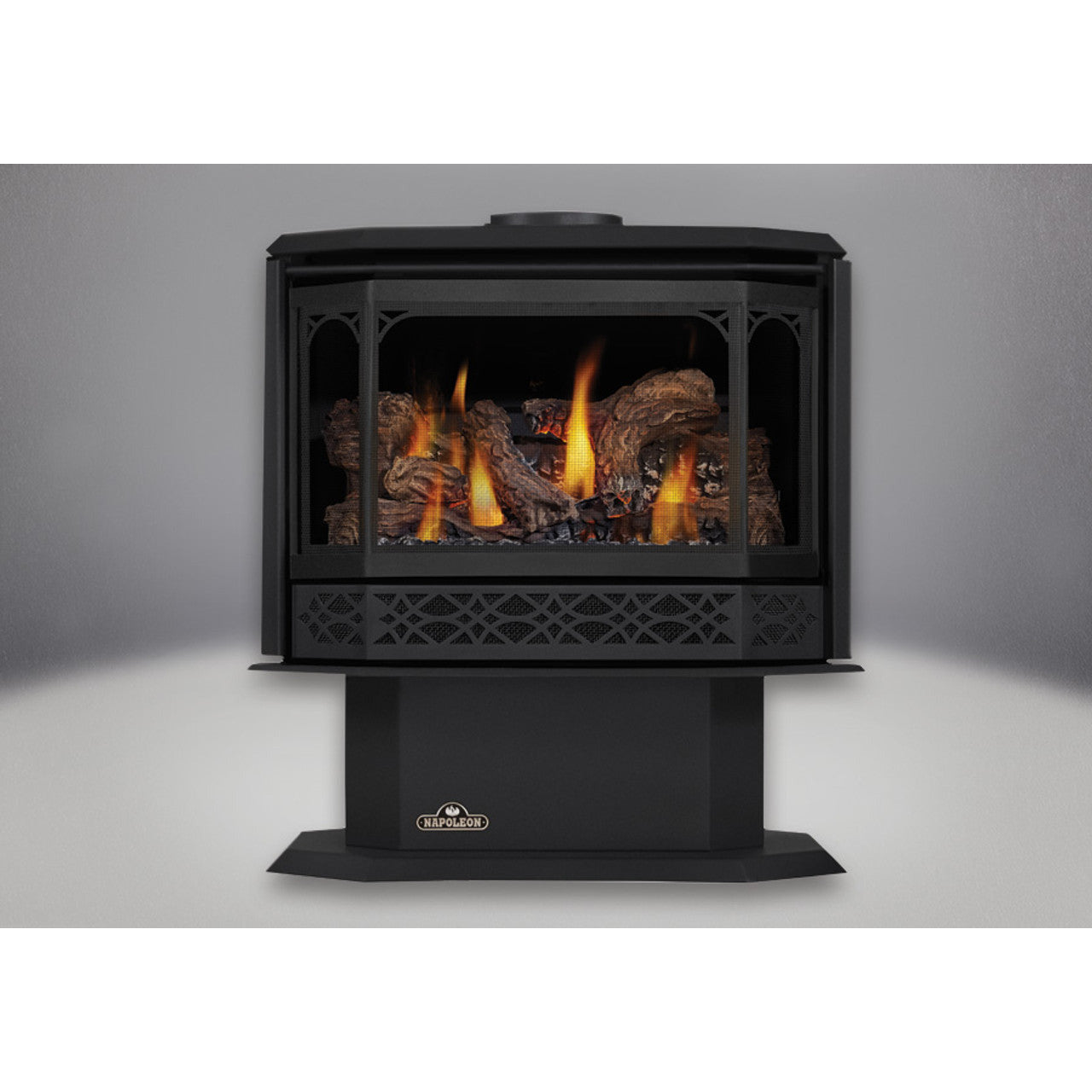 Napoleon Havelock Direct Vent Gas Stove