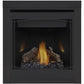 Napoleon Ascent 30" Direct Vent Gas Fireplace