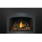 Napoleon Oakville 3 Direct Vent Gas Fireplace Insert