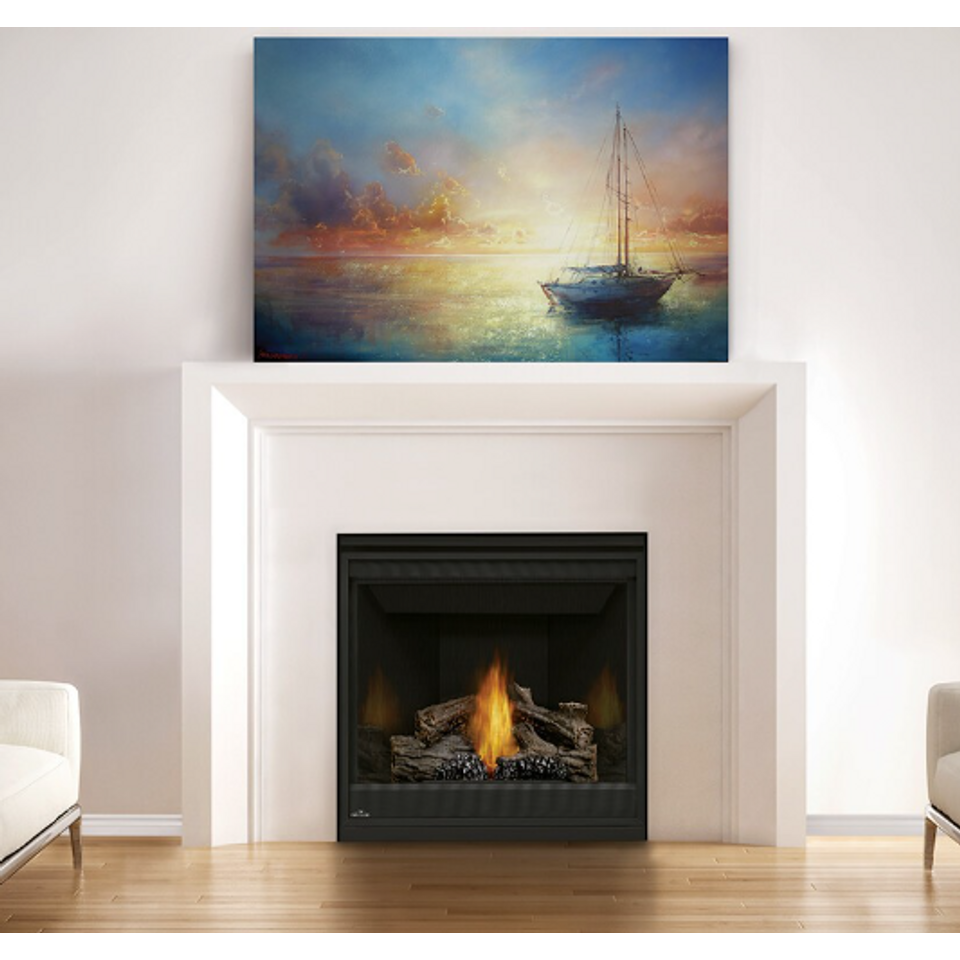 Napoleon Ascent 30" Direct Vent Gas Fireplace