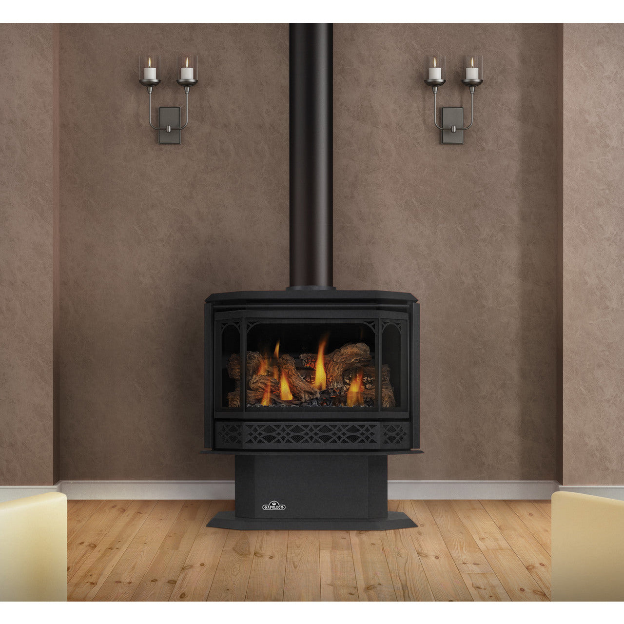 Napoleon Havelock Series Direct Vent Gas Stove