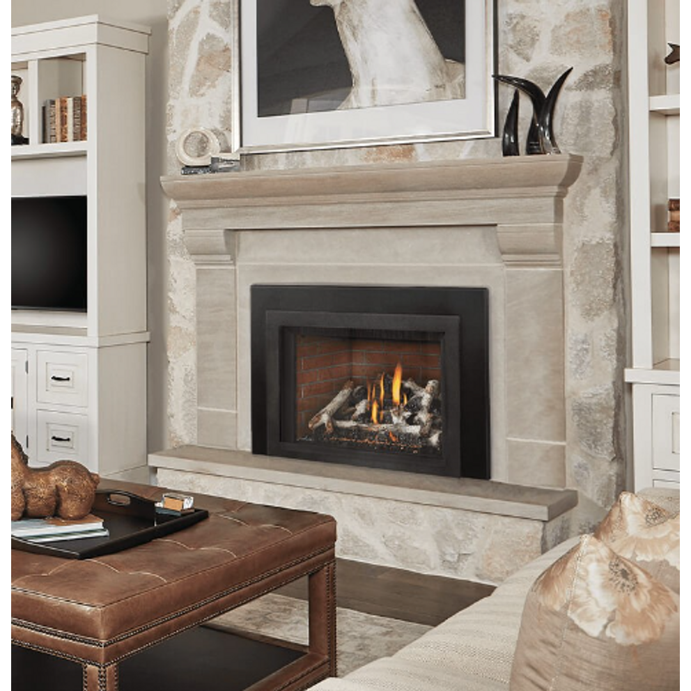 Napoleon Oakville Series X4 Direct Vent Gas Fireplace Insert – The ...