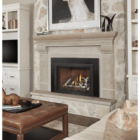 Napoleon Oakville Series X4 Direct Vent Gas Fireplace Inserts